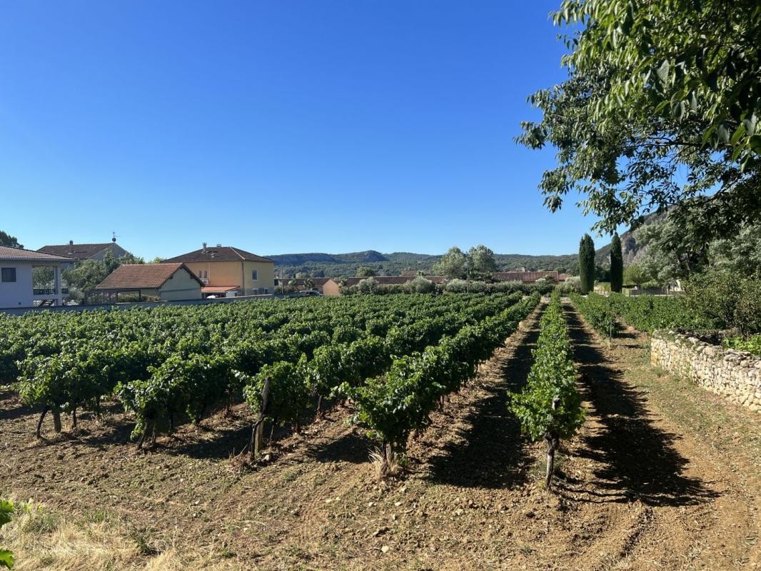 Vente Terrain à Vallon-Pont-d'Arc 0 pièce