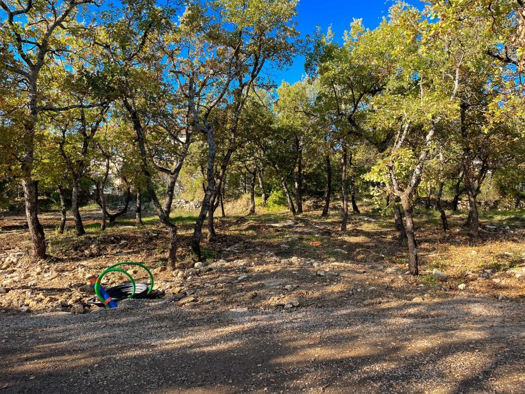 Vente Terrain à Forcalquier 0 pièce