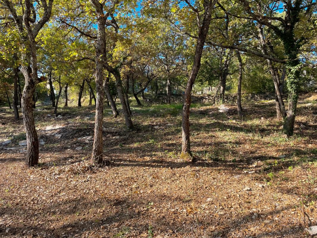 Vente Terrain à Forcalquier 0 pièce