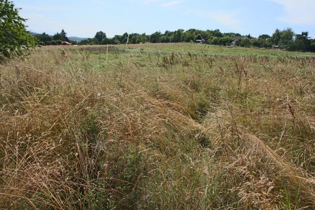 Vente Terrain à Boulogne-sur-Gesse 0 pièce