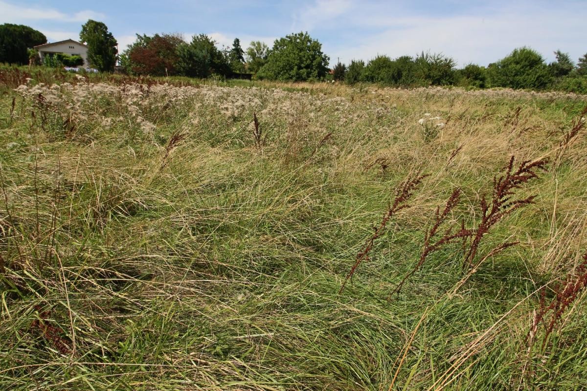 Vente Terrain à Boulogne-sur-Gesse 0 pièce