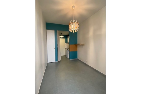 Location Appartement à Toulouse 1 pièce