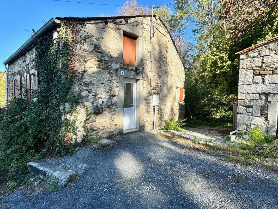 Vente Maison à Saint-Salvy-de-la-Balme 4 pièces