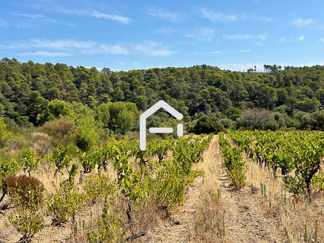 Vente Maison à Carcassonne 5 pièces