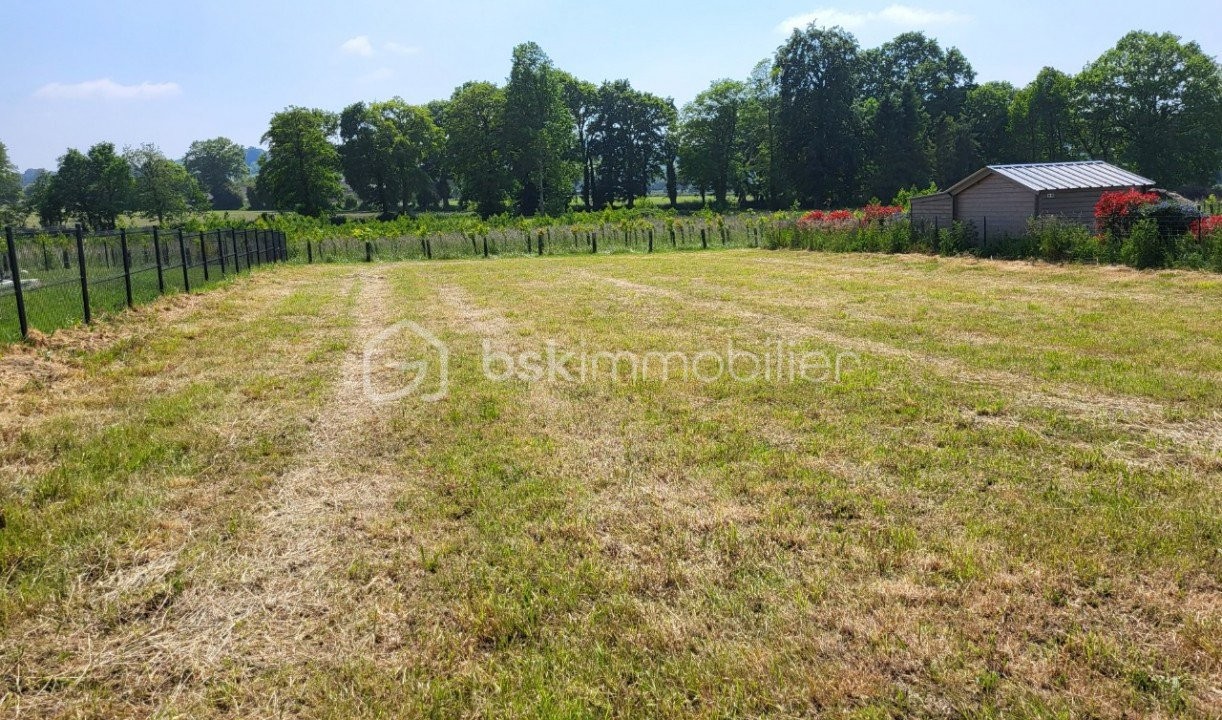 Vente Terrain à Vassy 0 pièce