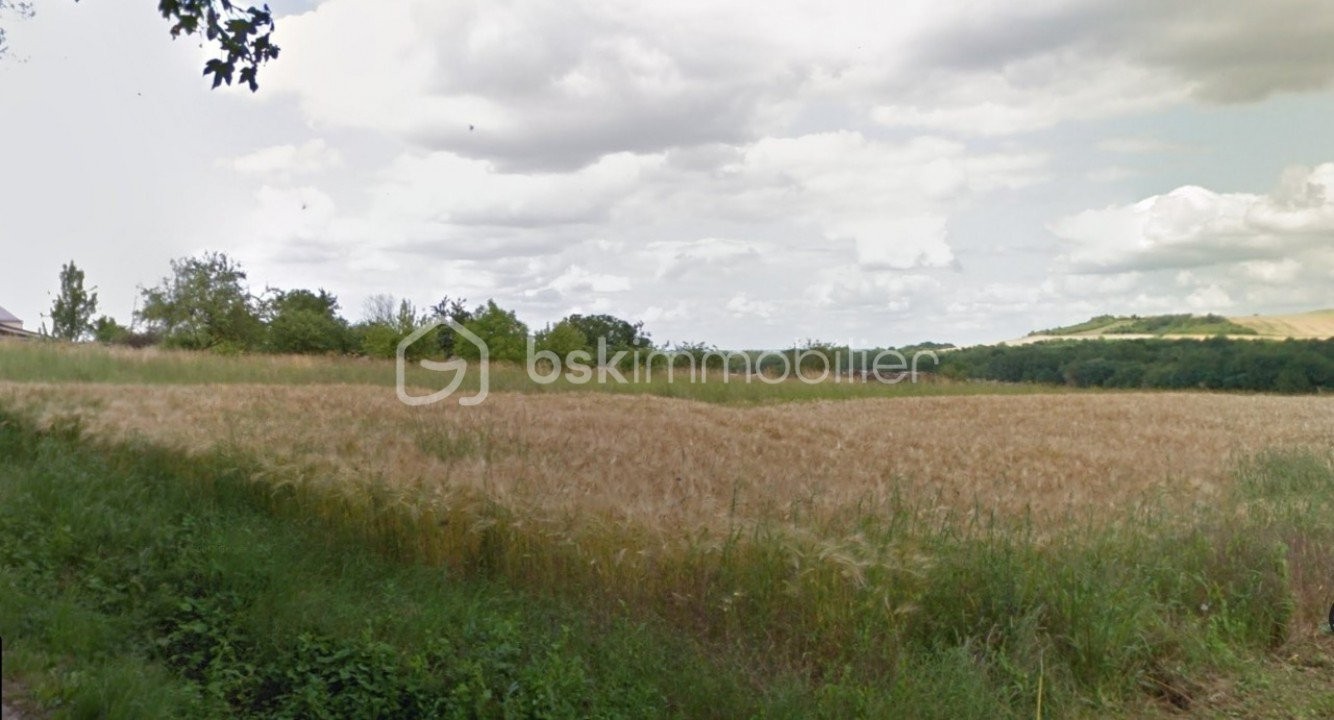 Vente Terrain à Charbuy 0 pièce