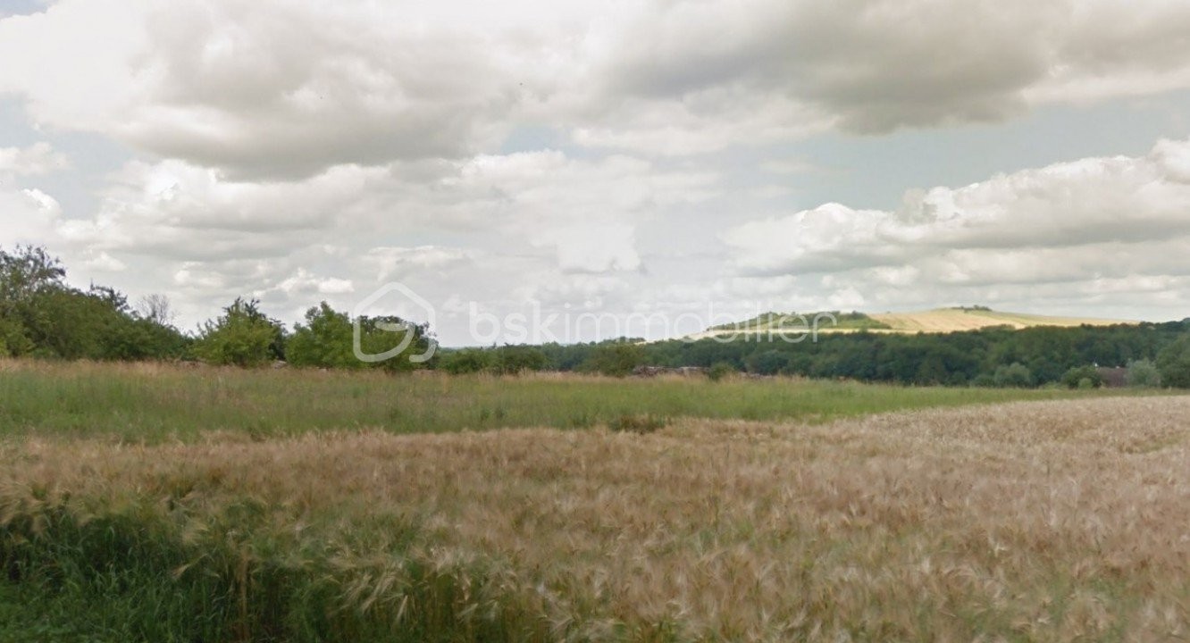 Vente Terrain à Charbuy 0 pièce