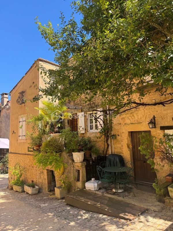 Vente Maison à Belvès 11 pièces