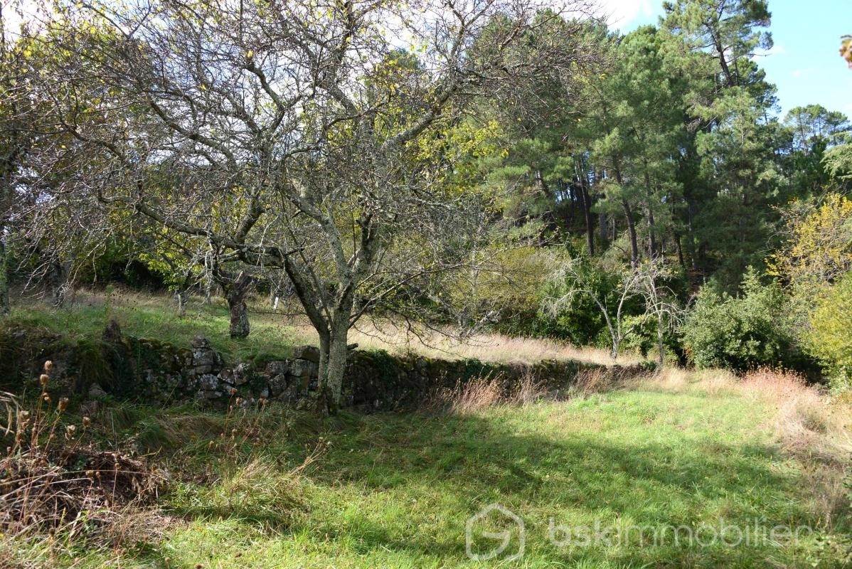 Vente Terrain à Aubenas 0 pièce