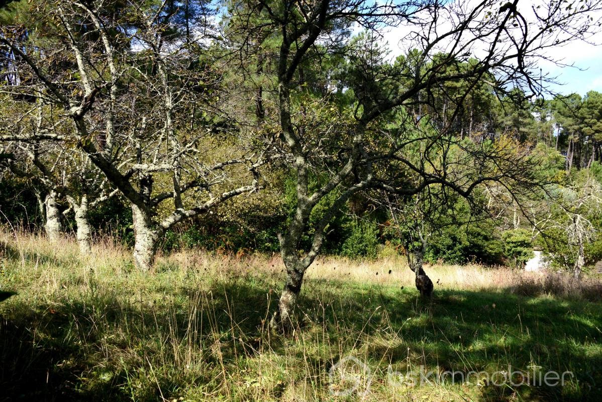 Vente Terrain à Aubenas 0 pièce