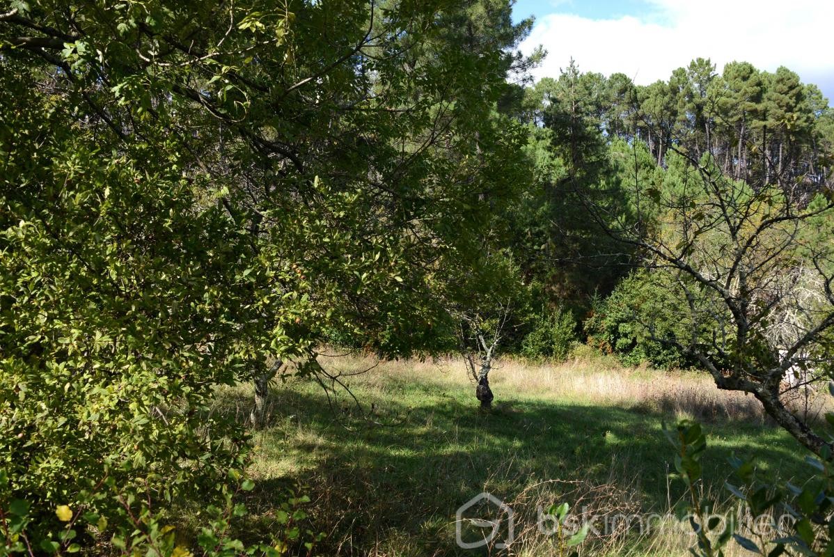 Vente Terrain à Aubenas 0 pièce