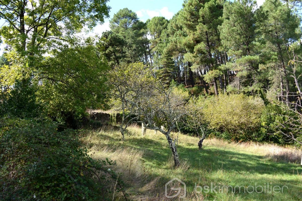 Vente Terrain à Aubenas 0 pièce