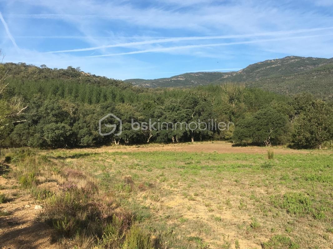 Vente Terrain à Bormes-les-Mimosas 0 pièce