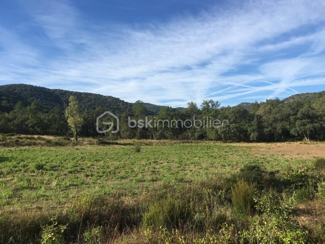 Vente Terrain à Bormes-les-Mimosas 0 pièce