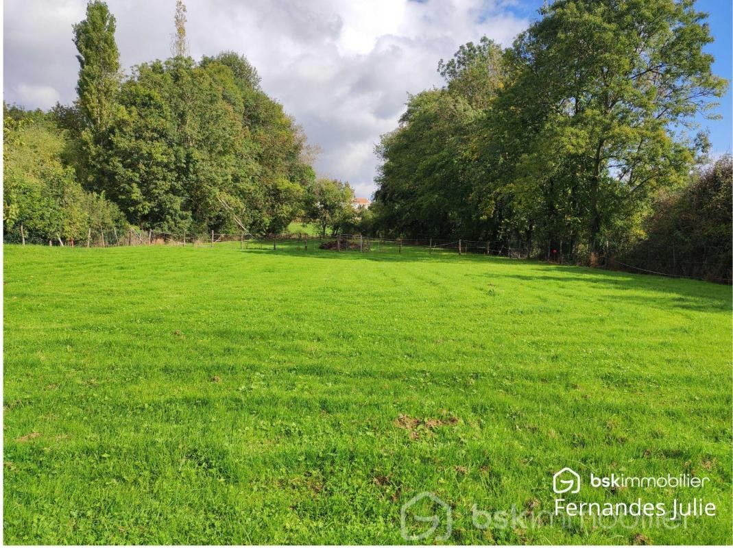 Vente Terrain à la Chapelle-de-Guinchay 0 pièce