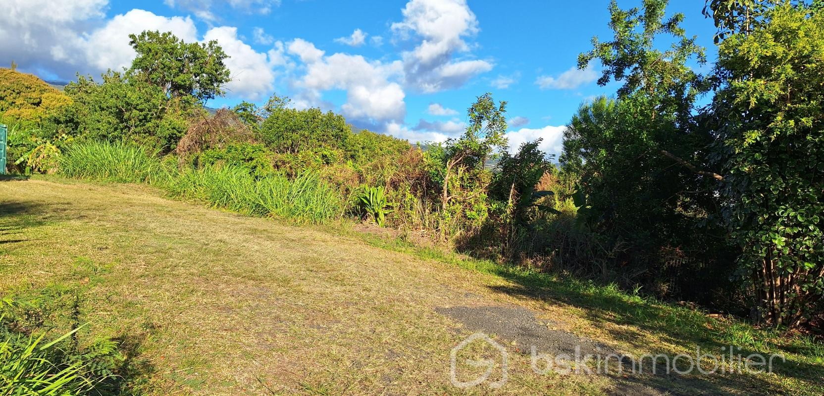 Vente Terrain à Sainte-Marie 0 pièce