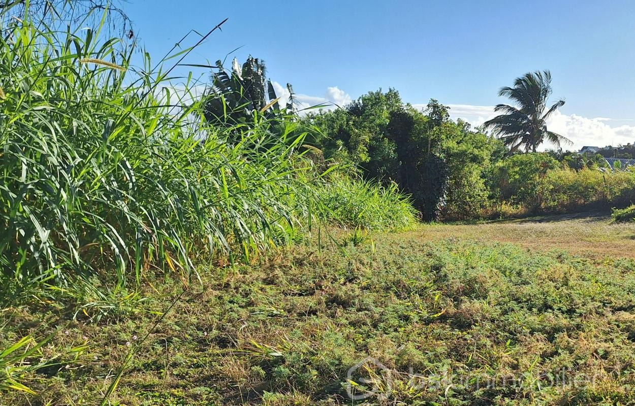 Vente Terrain à Sainte-Marie 0 pièce