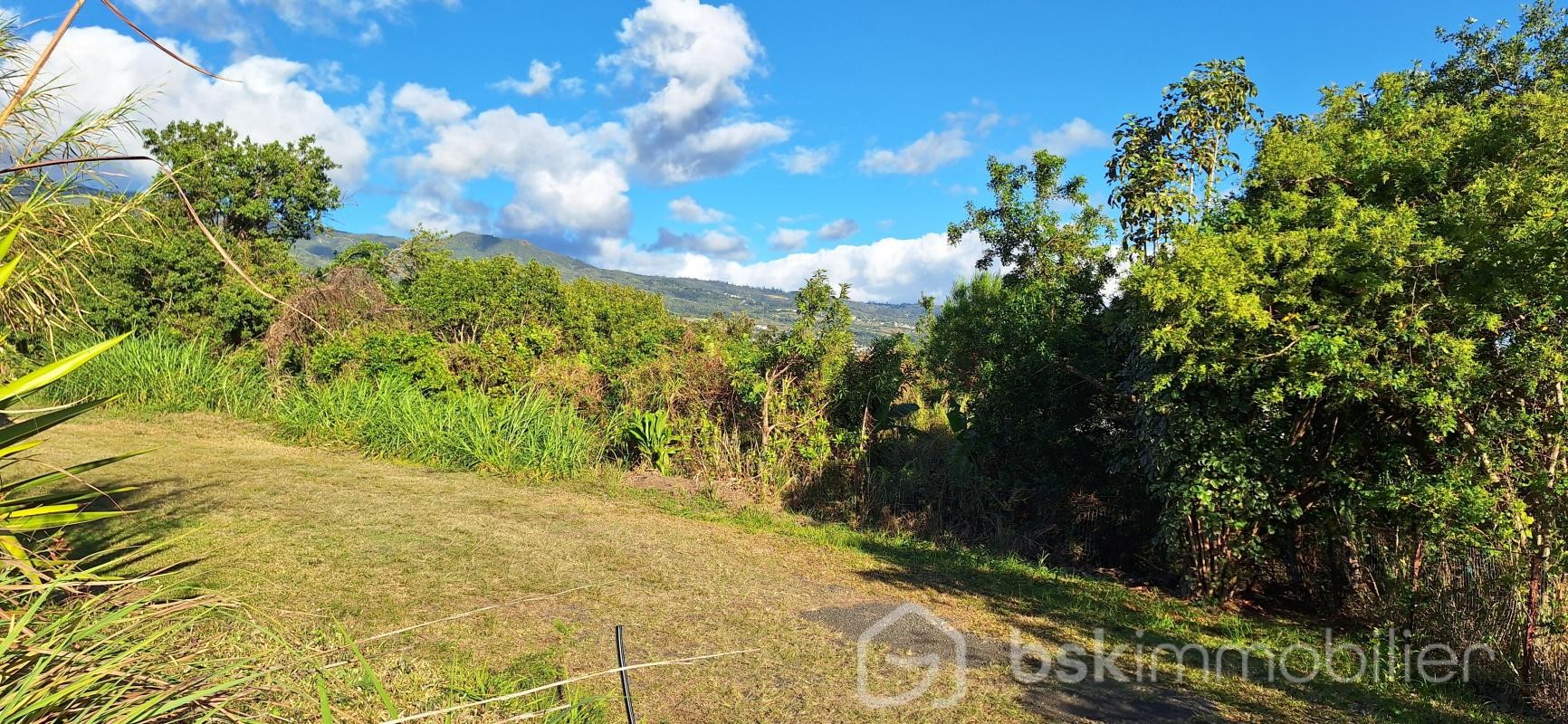 Vente Terrain à Sainte-Marie 0 pièce