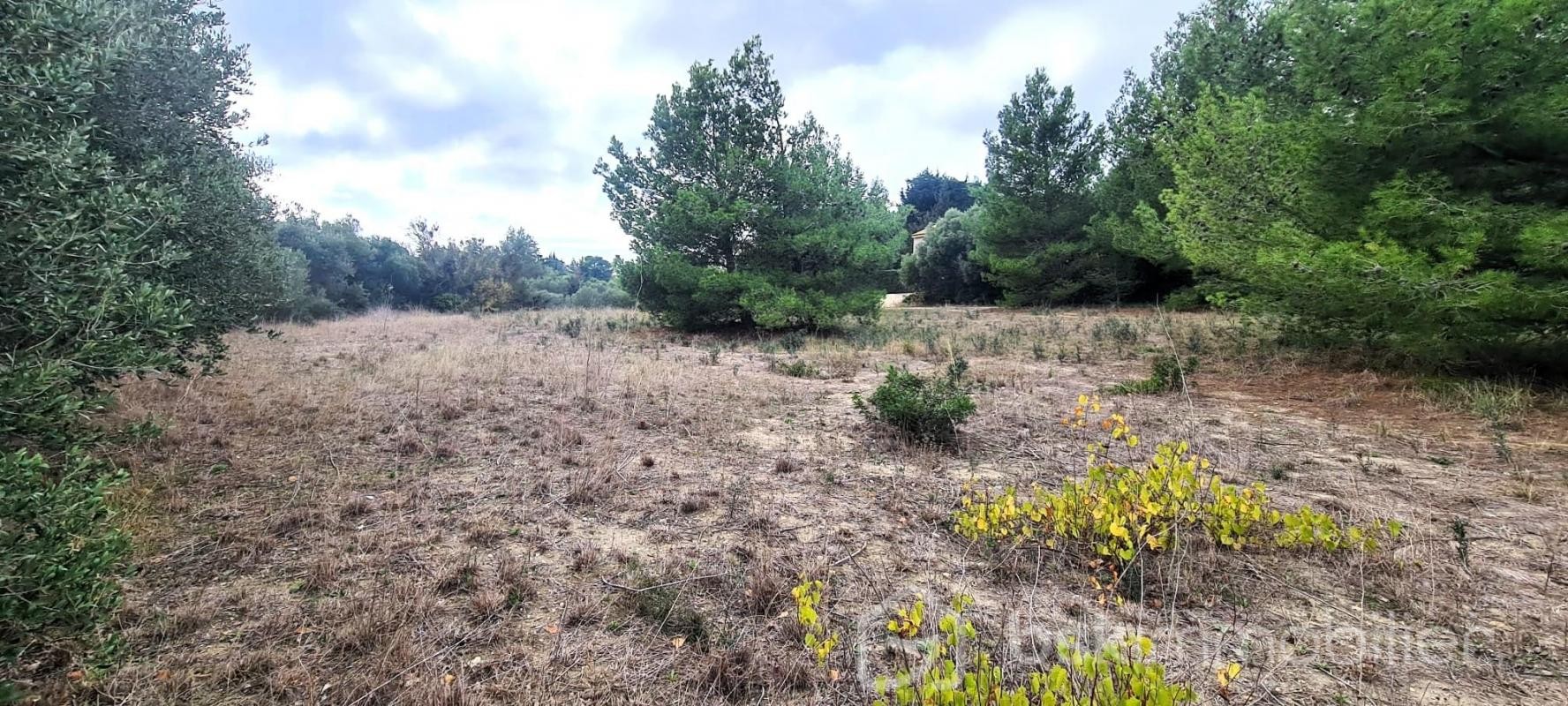 Vente Terrain à la Palme 0 pièce