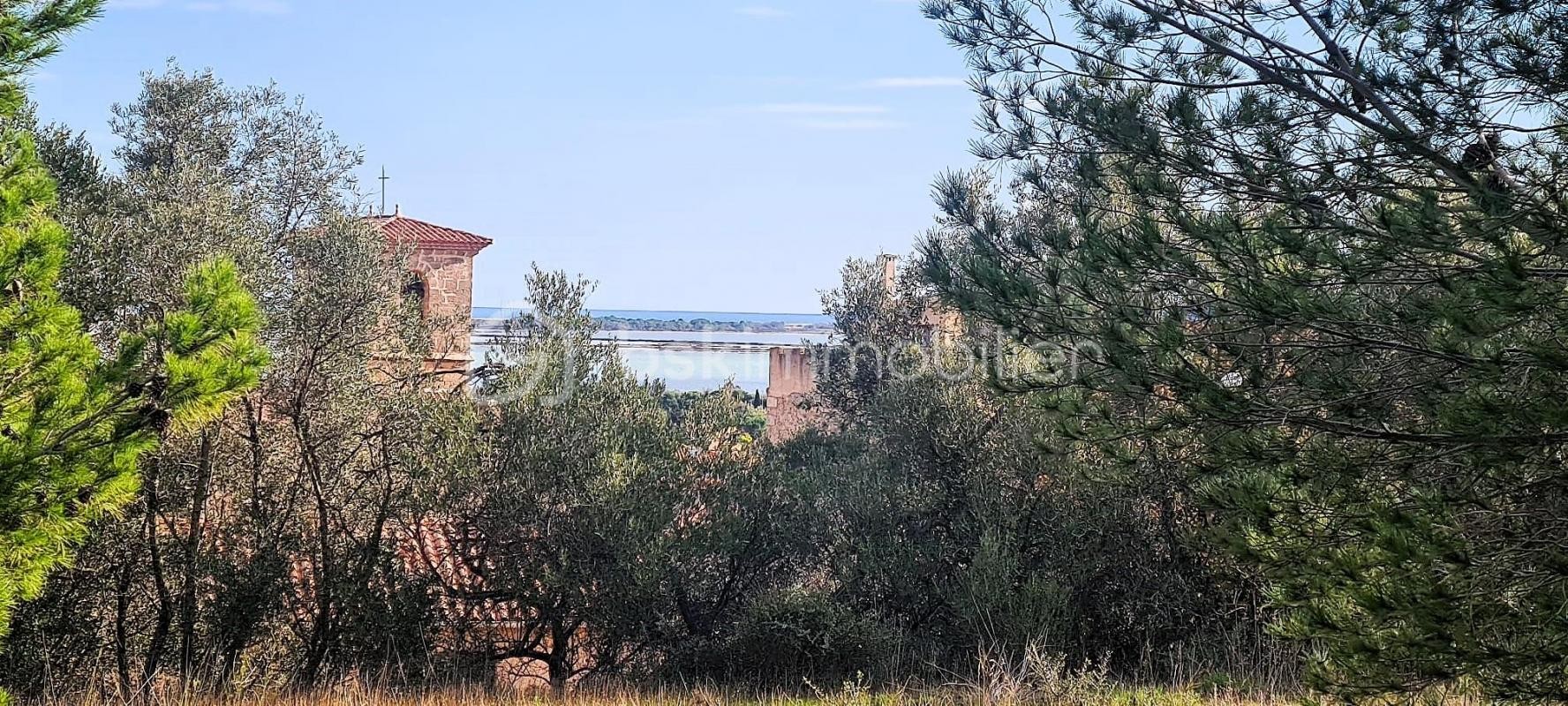 Vente Terrain à la Palme 0 pièce