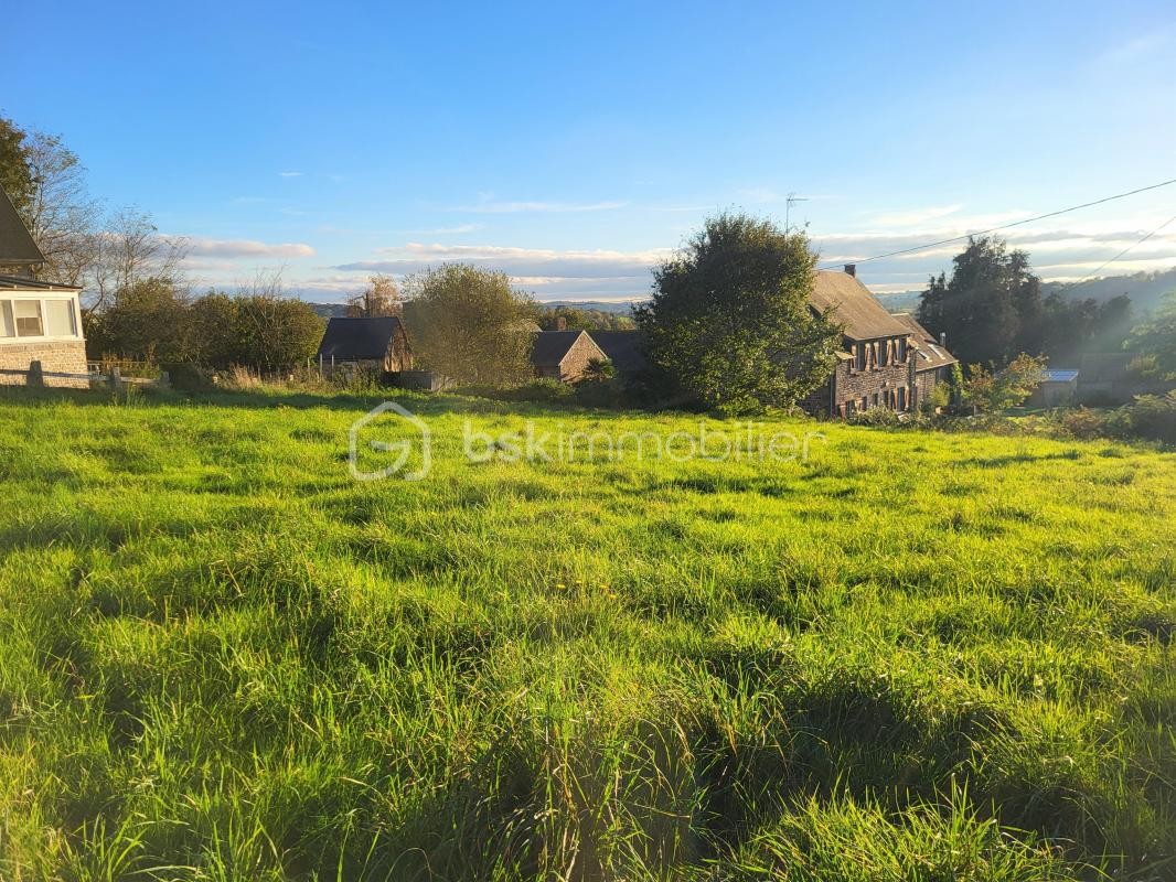 Vente Terrain à Saint-Brice-de-Landelles 0 pièce