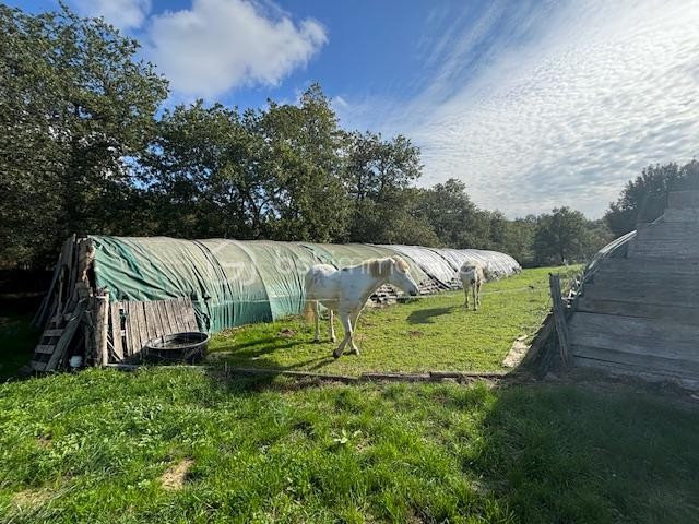 Vente Terrain à Limoux 0 pièce