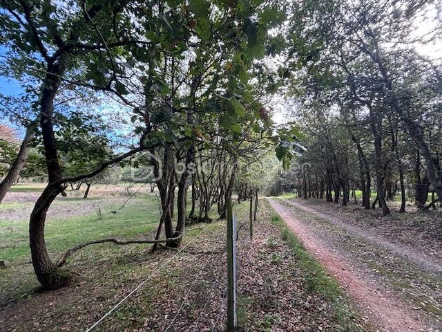 Vente Terrain à Limoux 0 pièce