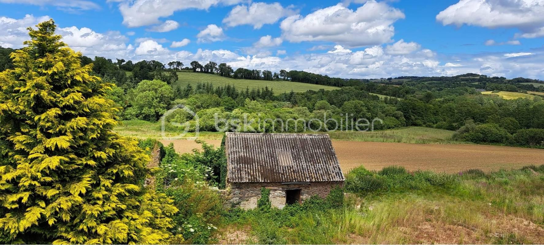 Vente Maison à Berrien 7 pièces