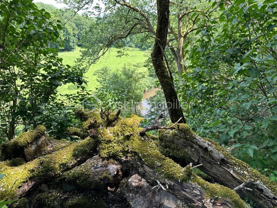 Vente Maison à Bosmie-l'Aiguille 8 pièces