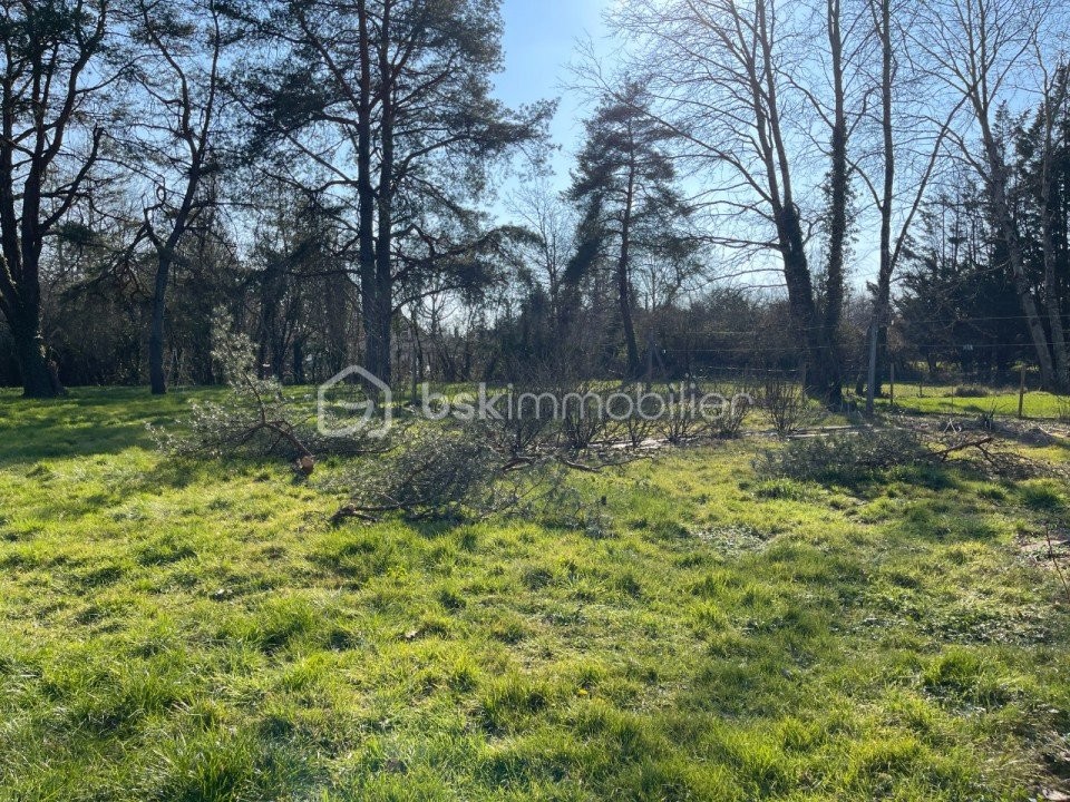 Vente Maison à la Ferté-Saint-Aubin 7 pièces