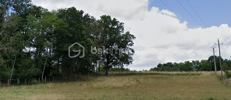 Vente Terrain à Charbuy 0 pièce