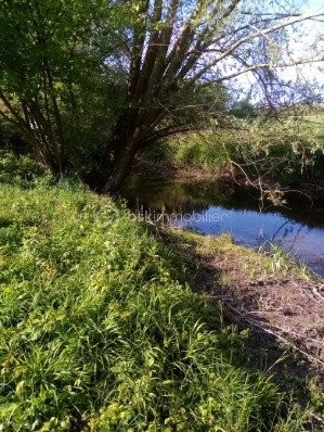 Vente Terrain à Montargis 0 pièce