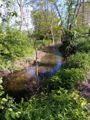 Vente Terrain à Montargis 0 pièce