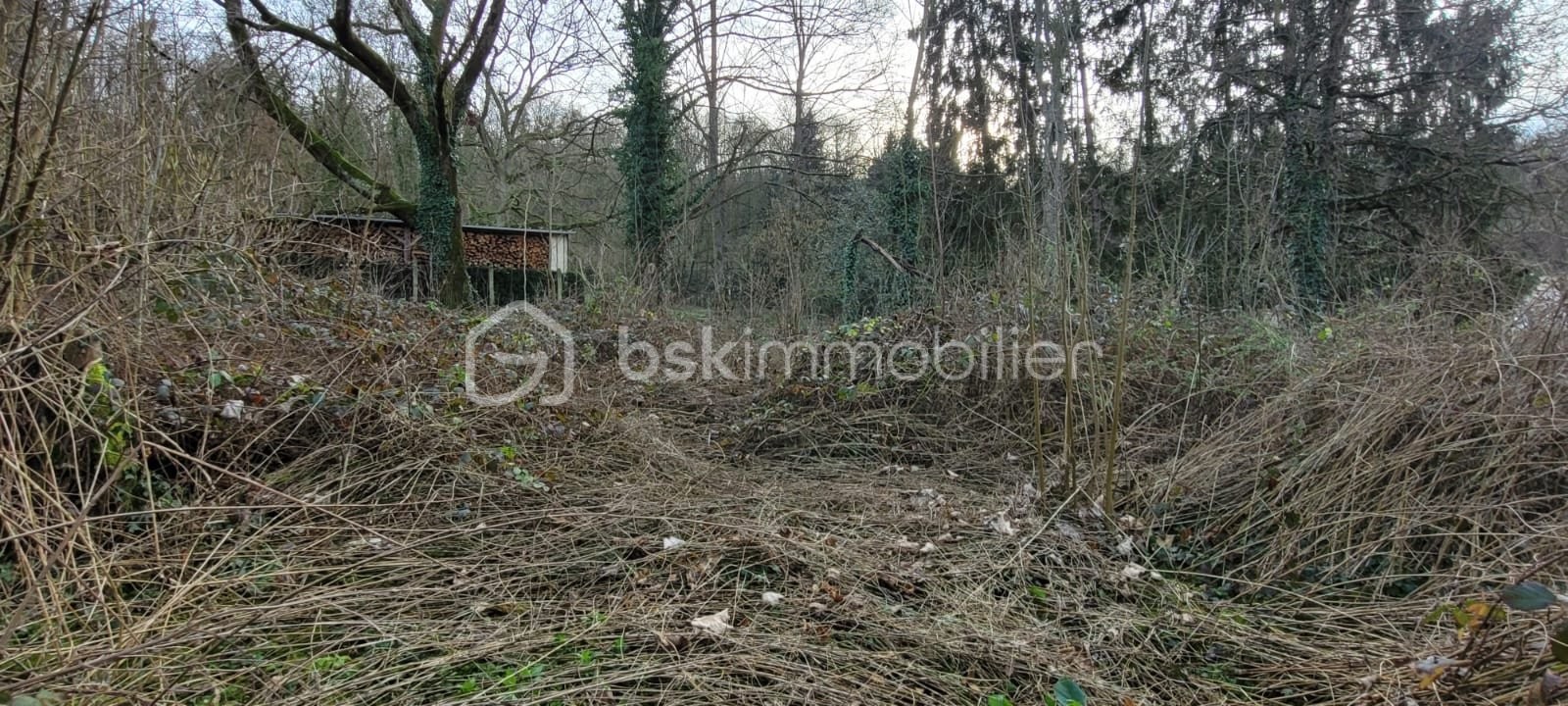 Vente Terrain à Clermont 0 pièce