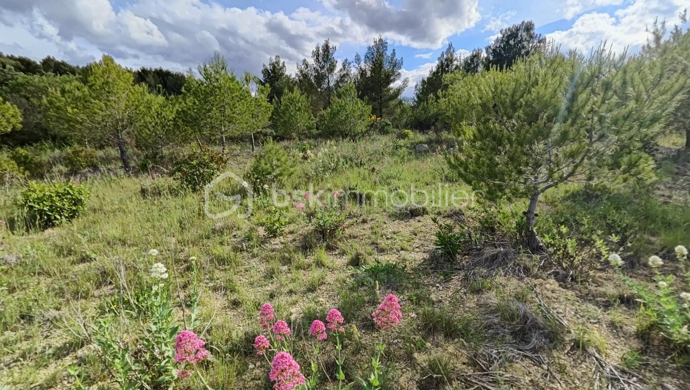 Vente Terrain à Sigean 0 pièce