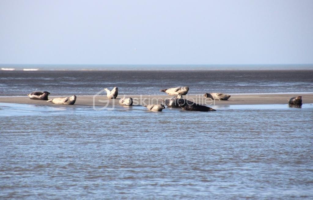 Vente Maison à Berck 4 pièces