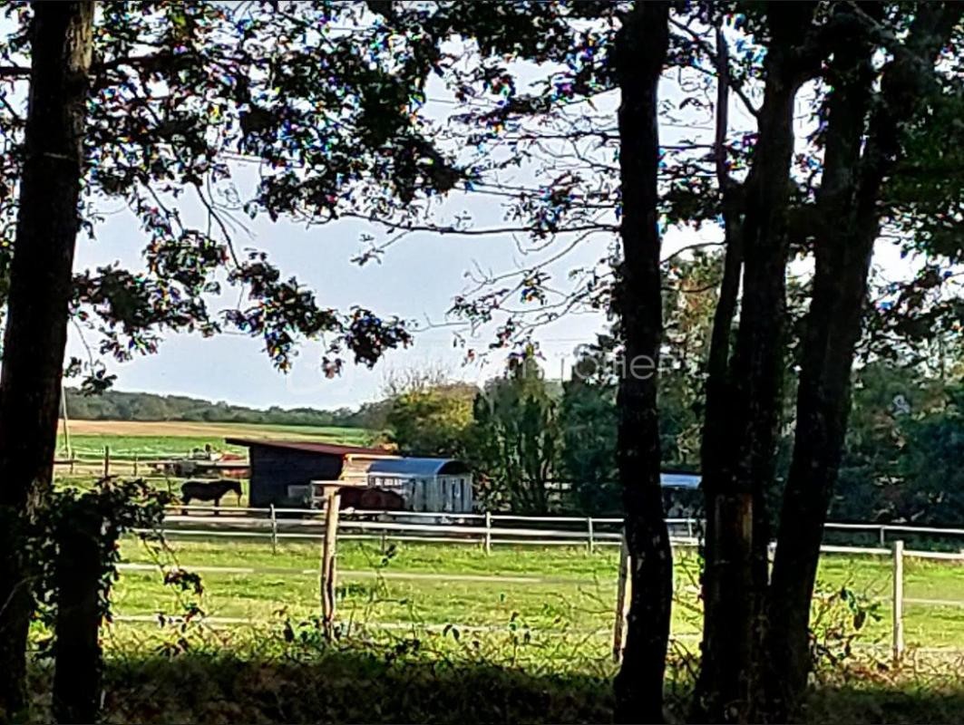 Vente Maison à Château-Renard 5 pièces