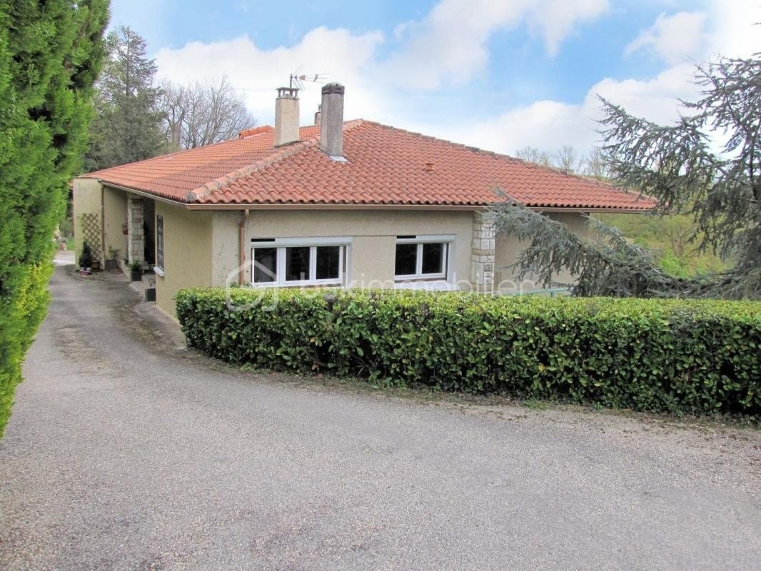 Vente Maison à Valence-sur-Baïse 10 pièces