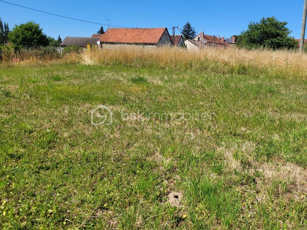 Vente Terrain à Esternay 0 pièce