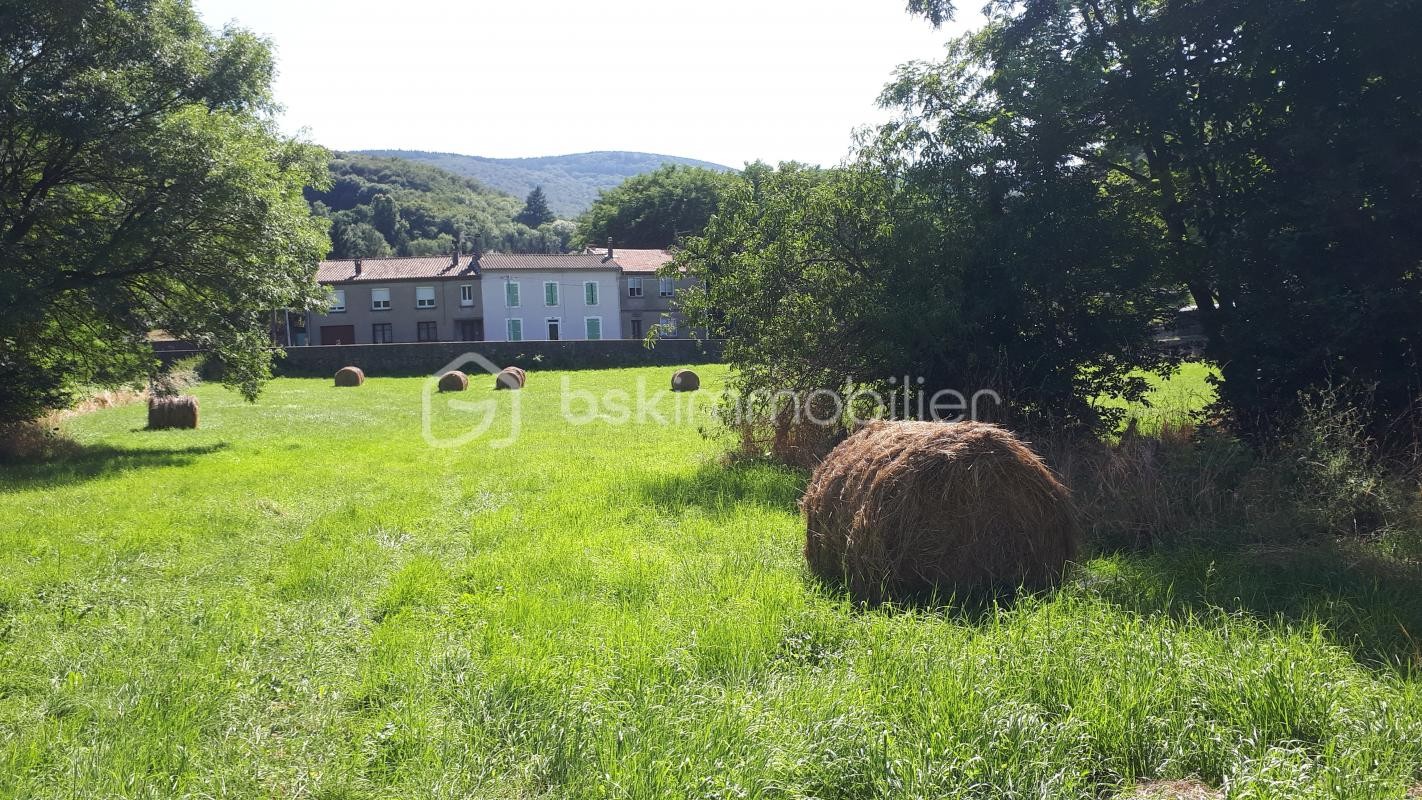 Vente Maison à Labastide-Rouairoux 11 pièces