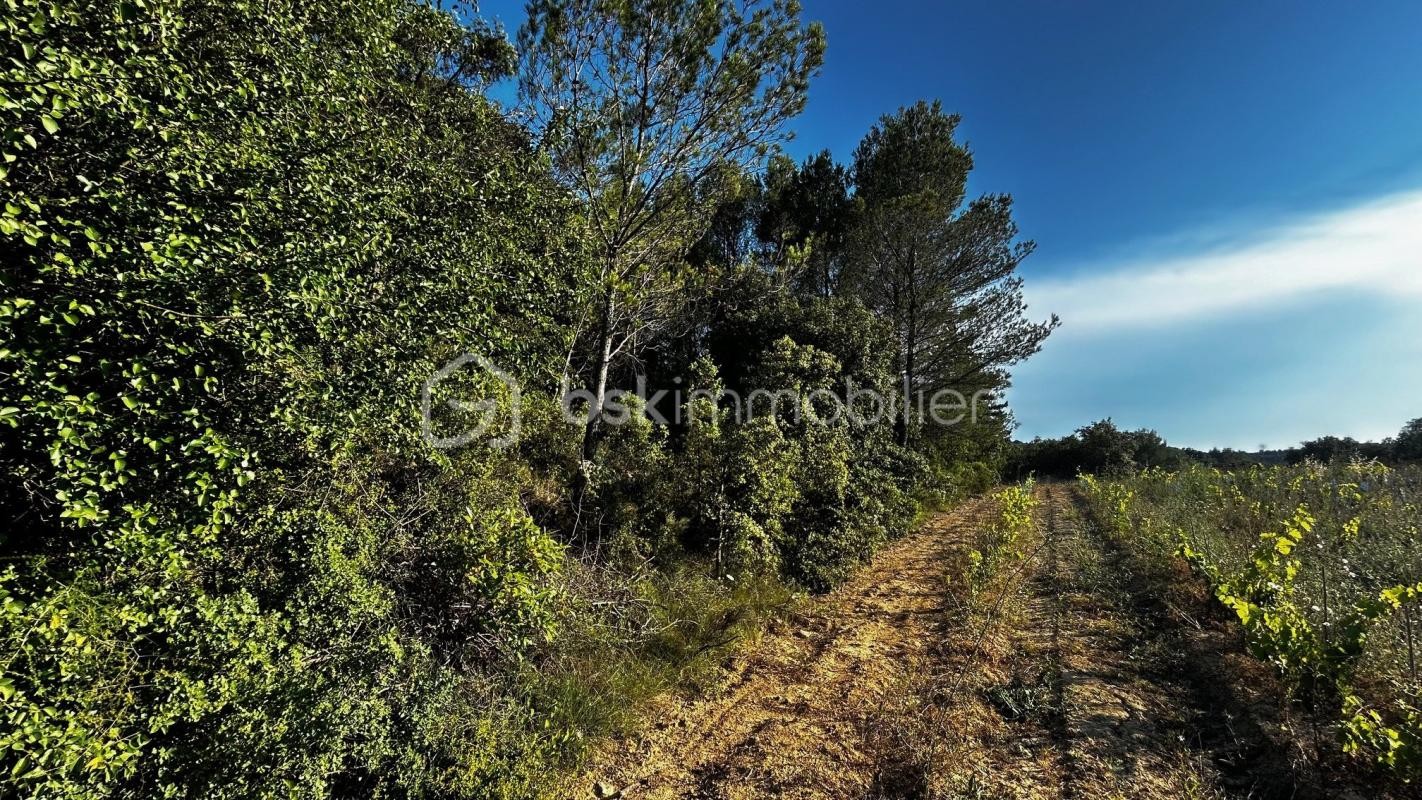 Vente Terrain à Gignac 0 pièce