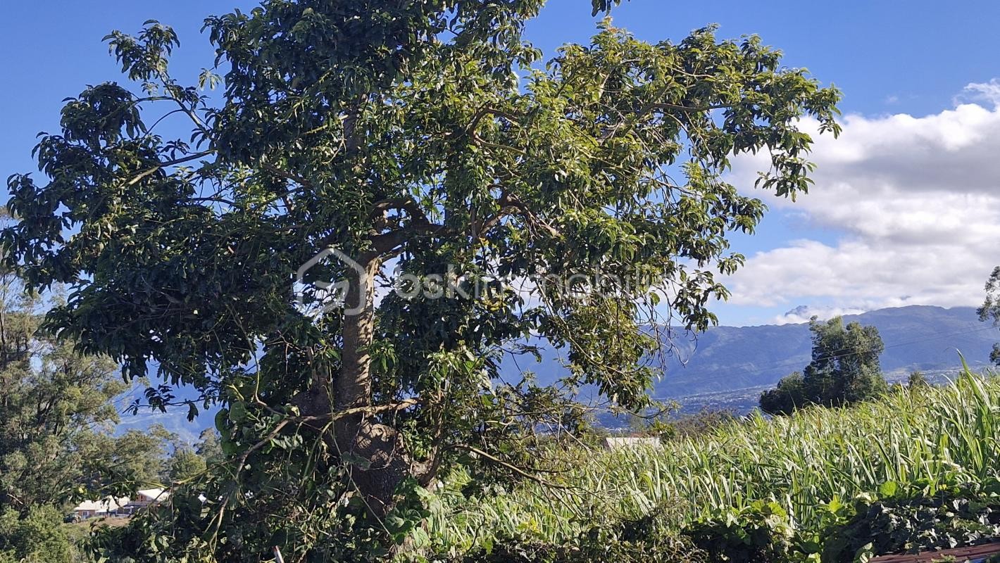 Vente Terrain à Saint-Pierre 0 pièce