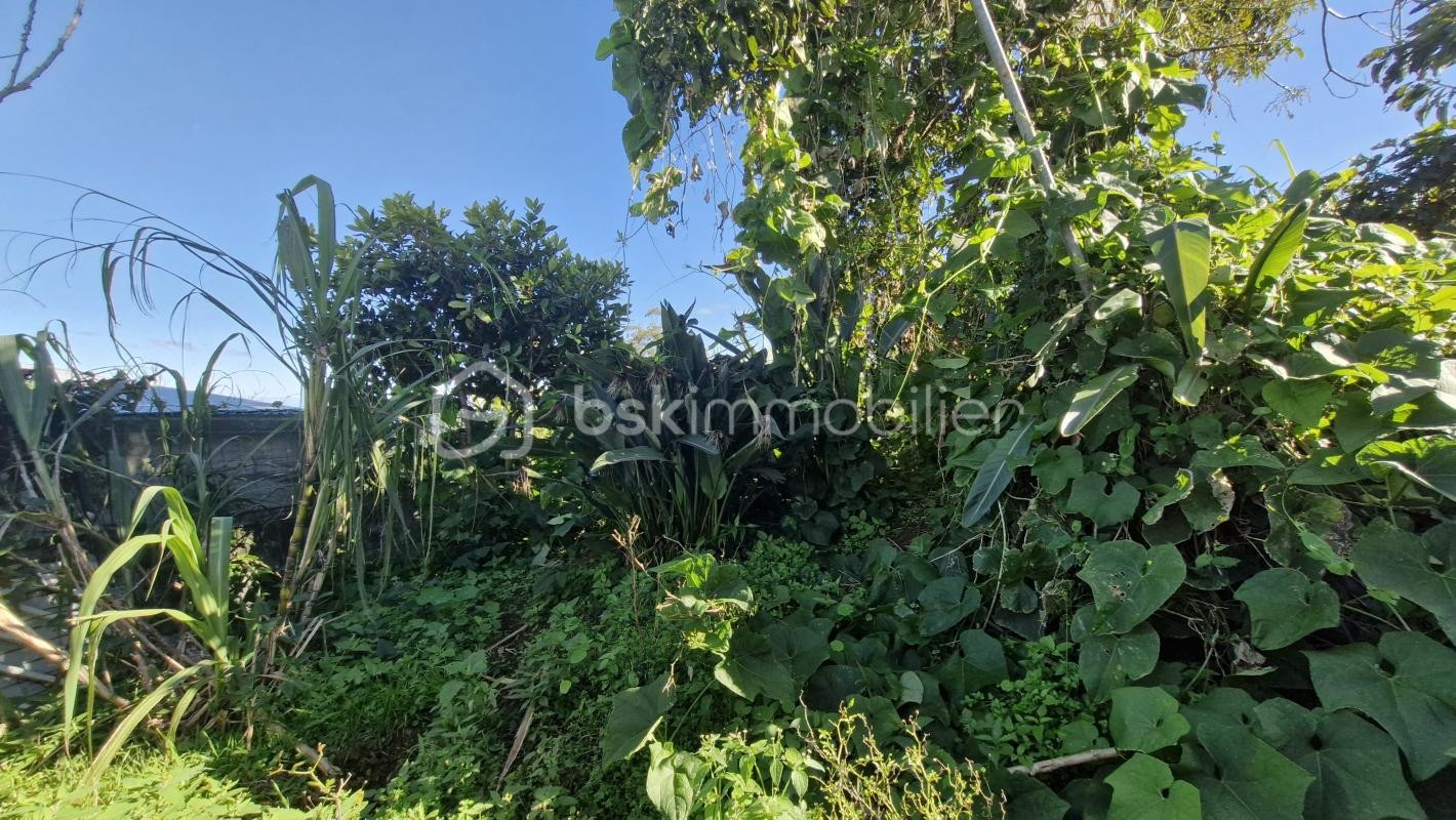 Vente Terrain à Saint-Pierre 0 pièce