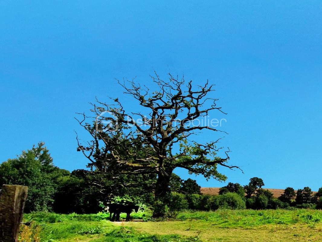 Vente Maison à Argentan 5 pièces