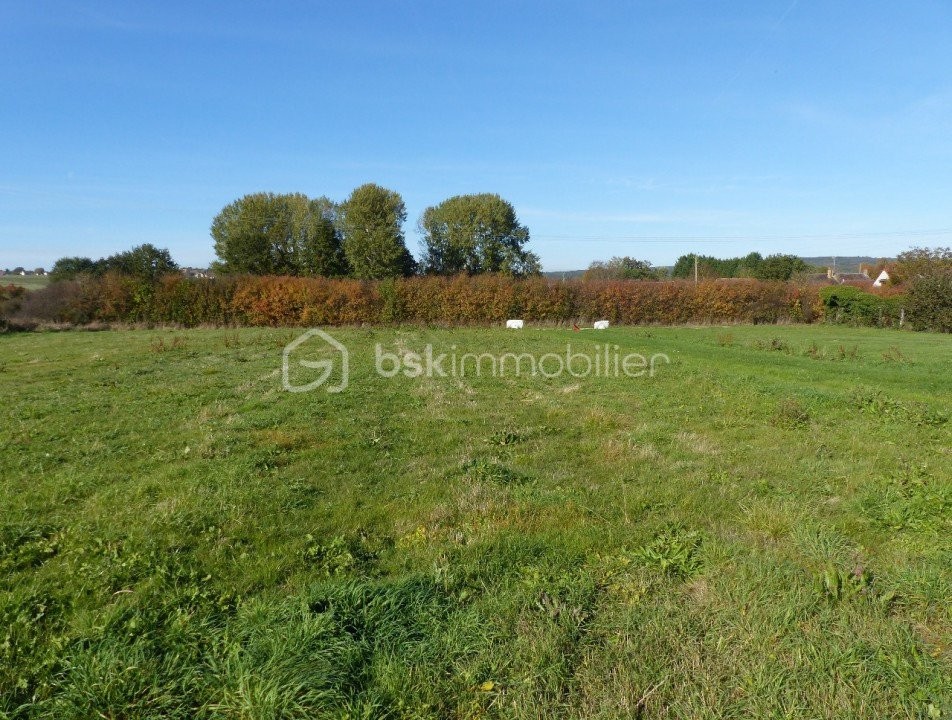 Vente Terrain à Monéteau 0 pièce