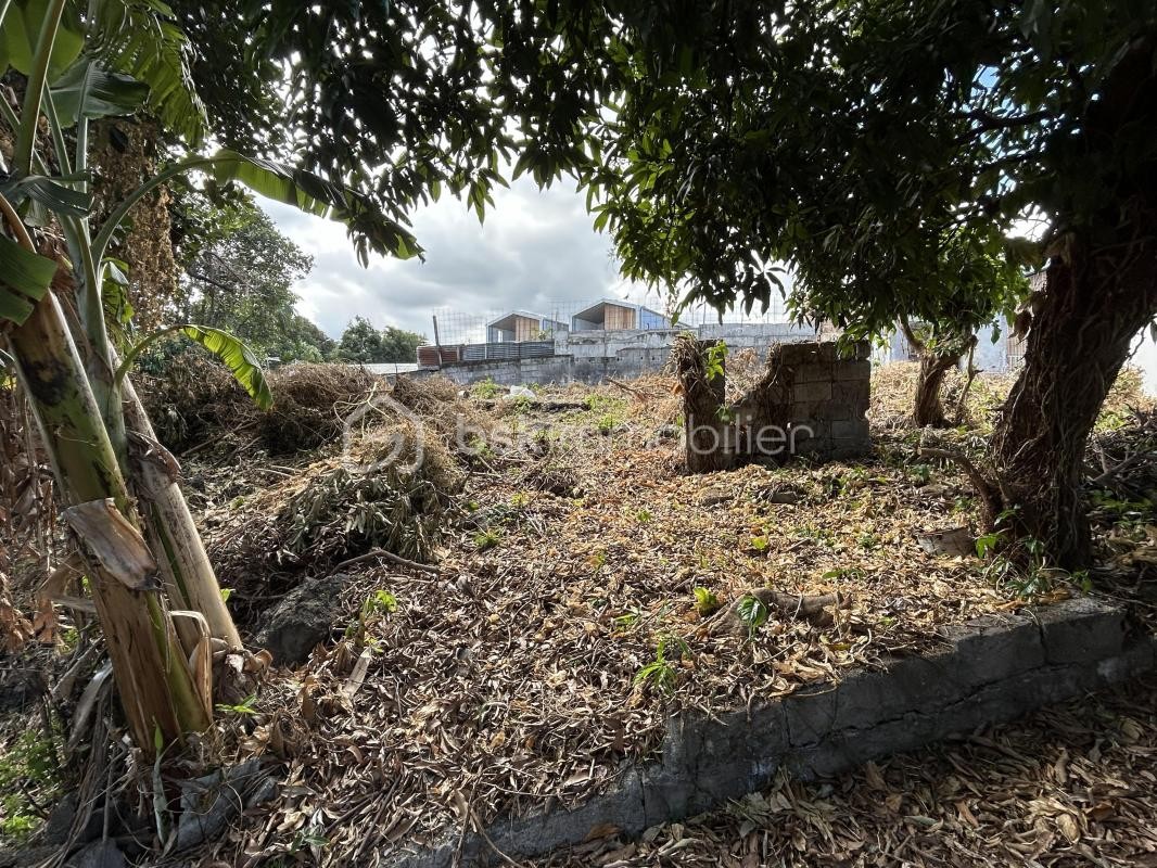 Vente Terrain à Saint-Pierre 0 pièce