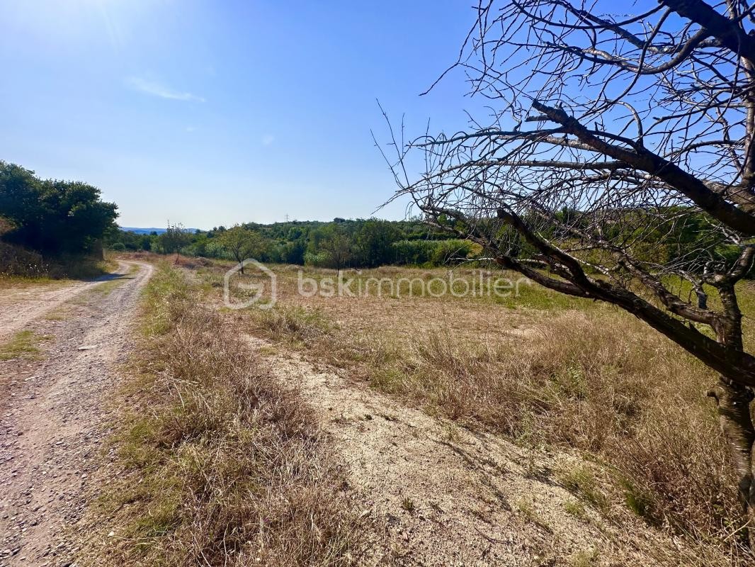 Vente Terrain à Clermont-l'Hérault 0 pièce