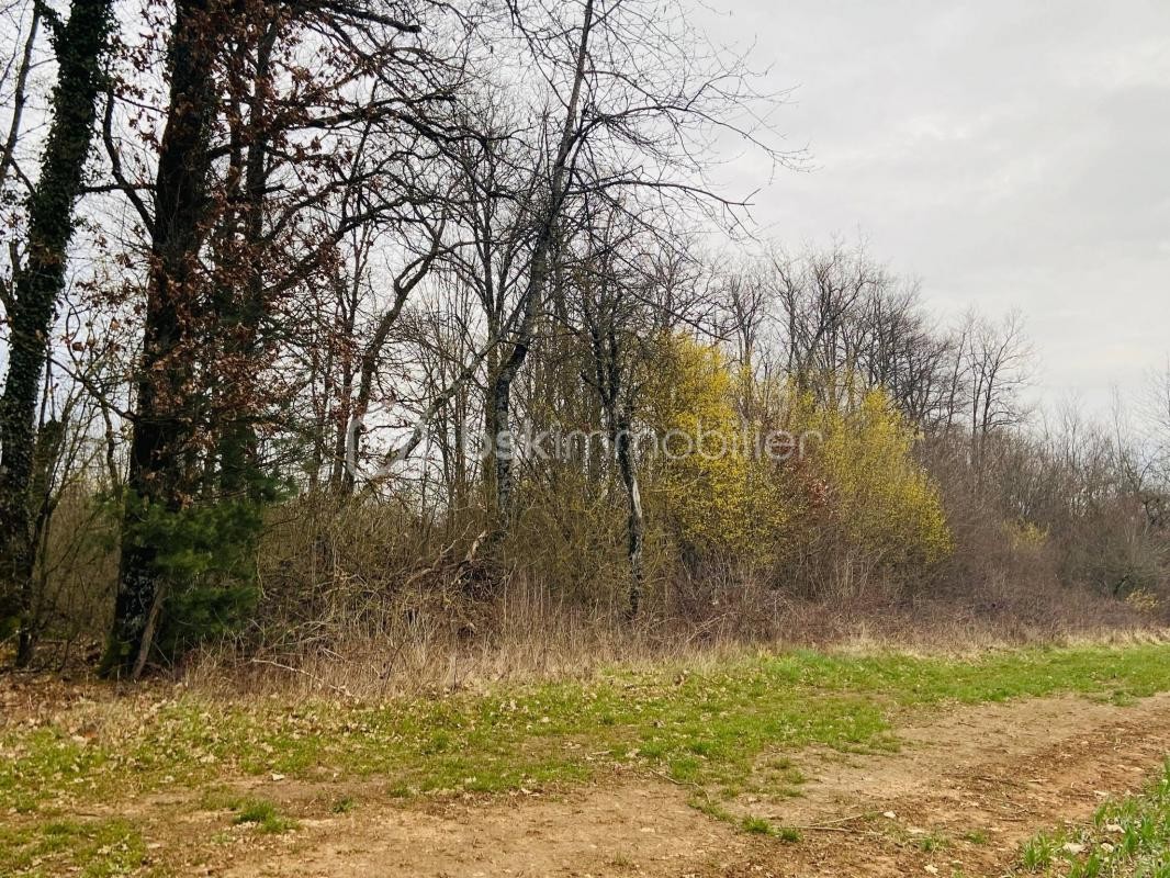 Vente Terrain à Chaumont 0 pièce