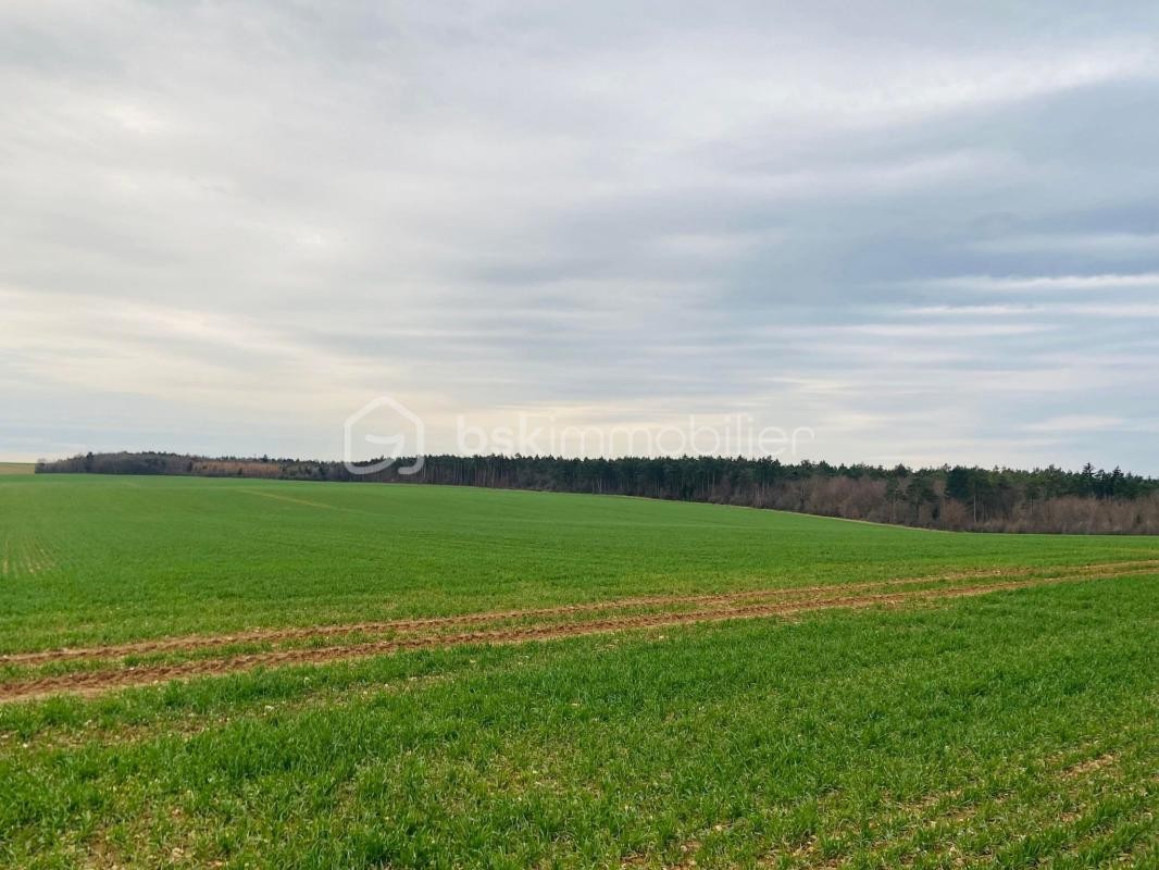 Vente Terrain à Chaumont 0 pièce