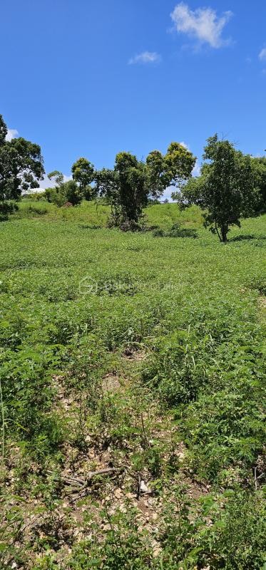 Vente Terrain à Saint-François 0 pièce